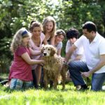 Qu’est-ce le droit de la famille ?