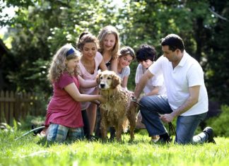 Qu’est-ce le droit de la famille ?